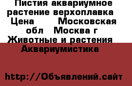 Пистия-аквариумное растение верхоплавка › Цена ­ 5 - Московская обл., Москва г. Животные и растения » Аквариумистика   